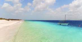 Foto: (Getty Images/iStockphoto)