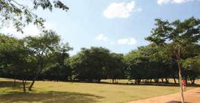 Virada Sustentável: parque da juventude estará repleto de atividades para adultos e crianças