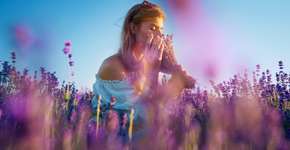 Foto: (janiecbros/istock)