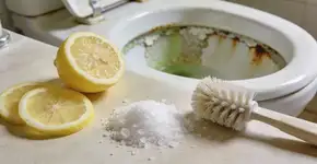 Foto: (Imagem sem texto alternativo disponivel ID [2700390])