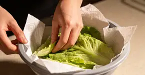 Foto: (Imagem sem texto alternativo disponivel ID [2676576])