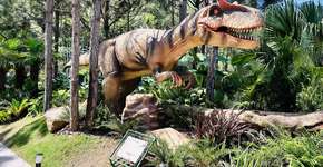 Foto: (Divulgação)