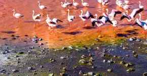 3 destinos na Bolívia