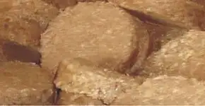 Fábrica produzirá lenha ecológica a partir de biomassa