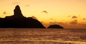 Foto: (Imagem sem texto alternativo disponivel ID [1867017])