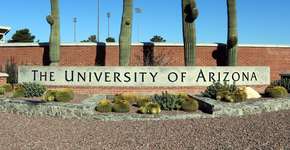 Foto: (wellesenterprises/iStock)