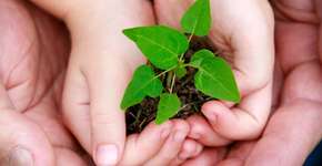 Monitoria de Educação Ambiental no Parque do Povo