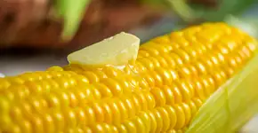 Milho faz bem para o cabelo? Médica revela quais pratos juninos favorecem os fios