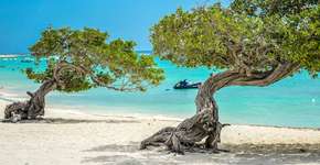 Foto: (Imagem sem texto alternativo disponivel ID [1868332])