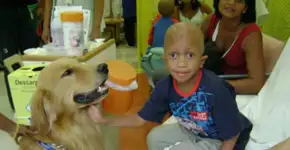 Cachorros ajudam a tratar crianças com câncer