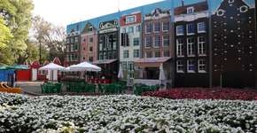 Expoflora tem ingressos promocionais a R$ 20; saiba como comprar