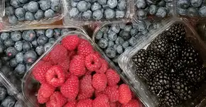 Foto: (Aleksandr Zhurilo/istock)