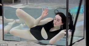 Noah Cyrus participa de campanha da PETA de boicote ao SeaWorld