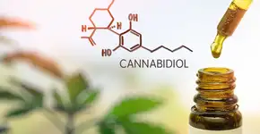 Anvisa cria ferramenta para pedido de importação de canabidiol