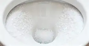 Por que recomendam jogar sal no vaso sanitário à noite?