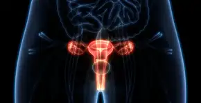 Foto: (magicmine/istock)