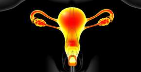 Foto: (iStock/myboxpra)