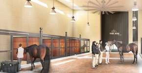 Foto: (Imagem sem texto alternativo disponivel ID [1868787])