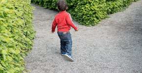 Grupo educacional explica a importância do pensamento crítico a crianças