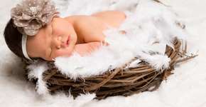 Foto: (Imagem sem texto alternativo disponivel ID [1047011])