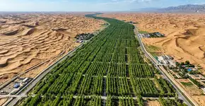 A China está transformando o Deserto de Takla Makan, que com 337.000 km² tem quase o tamanho da Polônia, em um “pulmão na areia”: os 66 bilhões de árvores plantadas desde 1978 aumentaram a vegetação, multiplicaram a precipitação durante a estação chuvosa em 2,5 vezes e até reduziram os níveis locais de CO2 de 416 para 413 ppm