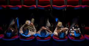 Foto: (Getty Images/iStockphoto)