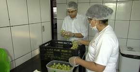 Pesquisa traça perfil dos empreendedores do Brasil