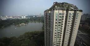 Chinês constrói montanha em cima de sua cobertura