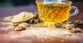 Estes são os melhores chás para combater a infecção urinária