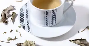 Chá de espinheira-santa: 8 receitas e seus benefícios para a saúde