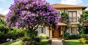 Deseja cor o ano todo no jardim? A quaresmeira floresce em qualquer estação e dizem que traz alegria para o lar