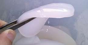 Descoberta chocante pode revolucionar o mundo e acabar com o plástico