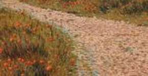 Foto: (Imagem sem texto alternativo disponivel ID [1847409])