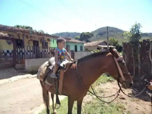 As únicas três fotos encontradas por Quintão após a lama