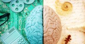 Faça um teste e descubra o sexo do seu cérebro