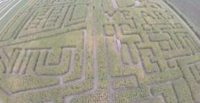 O impressionante labirinto que se tornou atração turística nos EUA