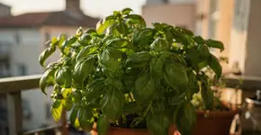 Foto: (Imagem sem texto alternativo disponivel ID [2704783])