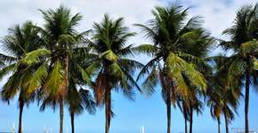 Yoga, Zumba e Vôlei de graça em Copacabana