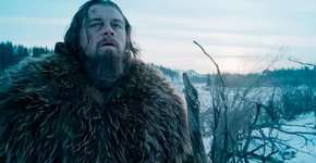 8 celebridades engajadas com a causa ambiental