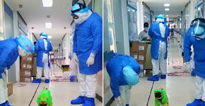 Conheça o cachorro terapeuta que ajuda médicos da linha de frente