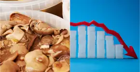 Foto: (AndreyPopov/Punkbarby/istock)