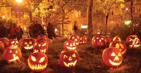 Foto: (Imagem sem texto alternativo disponivel ID [1509847])