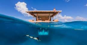 Foto: (Jesper Anhede)