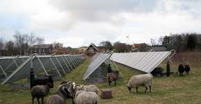 Foto: (Imagem sem texto alternativo disponivel ID [449725])