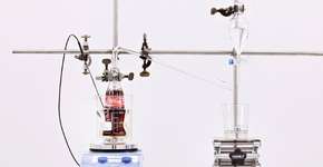 Foto: (Imagem sem texto alternativo disponivel ID [1896138])