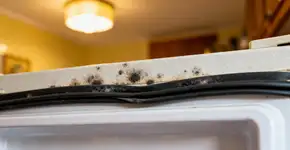 Aquele mofo na borracha da geladeira pode estar estragando sua comida