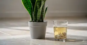 Foto: (Imagem sem texto alternativo disponivel ID [2741497])