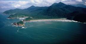 Foto: (Divulgação/Fundação Florestal)