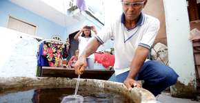 Brasil tem 30 mil notificações de dengue em 2020