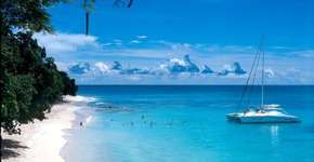 Foto: (Imagem sem texto alternativo disponivel ID [1866667])